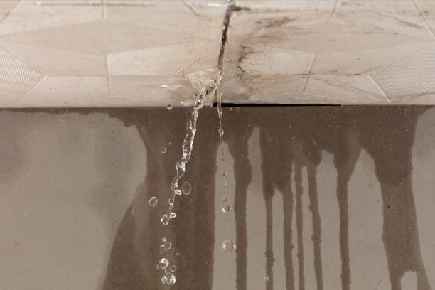 Professional Burst Pipe Cleanup technician working in Somerville, MA